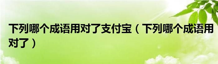 下列哪個(gè)成語用對了支付寶（下列哪個(gè)成語用對了）
