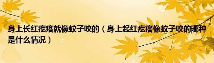 身上長紅疙瘩就像蚊子咬的（身上起紅疙瘩像蚊子咬的哪種是什么情況）