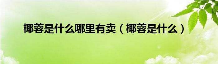 椰蓉是什么哪里有賣（椰蓉是什么）