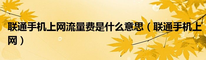 聯(lián)通手機(jī)上網(wǎng)流量費(fèi)是什么意思（聯(lián)通手機(jī)上網(wǎng)）
