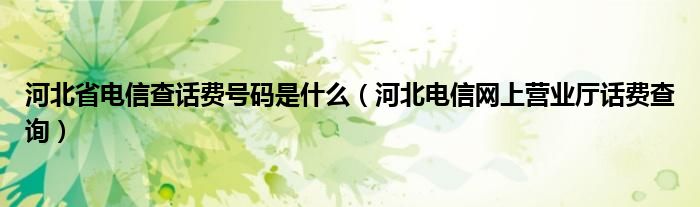 河北省電信查話費號碼是什么（河北電信網(wǎng)上營業(yè)廳話費查詢）