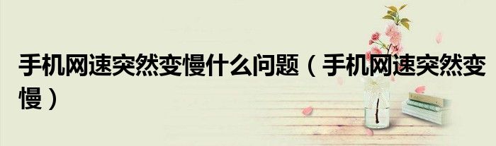 手機網(wǎng)速突然變慢什么問題（手機網(wǎng)速突然變慢）