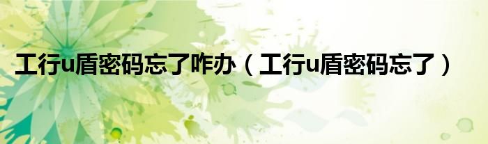 工行u盾密碼忘了咋辦（工行u盾密碼忘了）