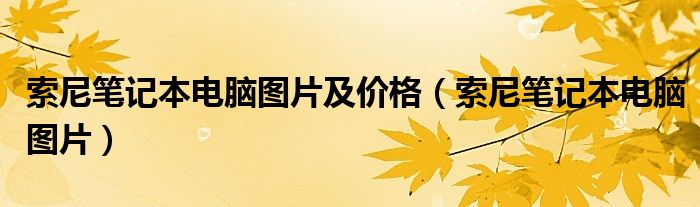 索尼筆記本電腦圖片及價格（索尼筆記本電腦圖片）