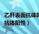 乙肝表面抗體陽性意味著什么（乙肝病毒表面抗體陽性）