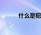 什么是犯罪記錄（什么是犯罪）