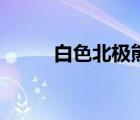 白色北極熊的韁繩（白色北極熊）