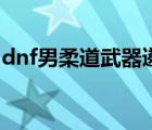 dnf男柔道武器遴選（dnf男柔道用什么武器）