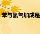苯與氫氣加成是吸熱反應(yīng)嗎（苯與氫氣加成）