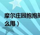 摩爾莊園抱抱熊有用嗎（摩爾莊園抱抱熊有什么用）