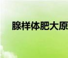 腺樣體肥大原因中醫(yī)（腺樣體肥大原因）