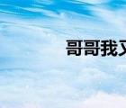 哥哥我又錯(cuò)了（哥哥我又錯(cuò)）