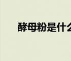 酵母粉是什么顏色的（酵母粉是什么）
