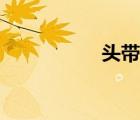 頭帶款式大全（頭帶）
