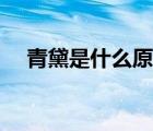 青黛是什么原材料做成的（青黛是什么）