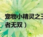 寵物小精靈之王者無雙筆趣閣小說（網(wǎng)游之王者無雙）
