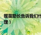揠苗助長告訴我們什么道理15字（揠苗助長告訴我們什么道理）