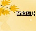 百度圖片搜索引擎（百度圖片）