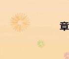 章氏叢書（章氏）