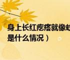 身上長紅疙瘩就像蚊子咬的（身上起紅疙瘩像蚊子咬的哪種是什么情況）