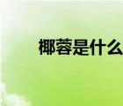 椰蓉是什么哪里有賣（椰蓉是什么）