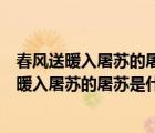 春風(fēng)送暖入屠蘇的屠蘇是什么意思屠蘇是指什么酒（春風(fēng)送暖入屠蘇的屠蘇是什么意思）