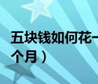 五塊錢如何花一個月表情包（五塊錢如何花一個月）