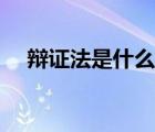 辯證法是什么意思例子（辯證法是什么）