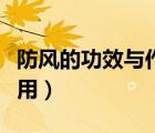 防風的功效與作用有哪些呢（防風的功效與作用）