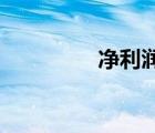凈利潤和利潤總額的區(qū)別
