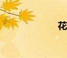 花云簡介（花云）