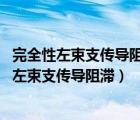 完全性左束支傳導(dǎo)阻滯后果（完全性左束支傳導(dǎo)阻滯 完全性左束支傳導(dǎo)阻滯）