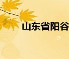 山東省陽谷縣第二中學(xué)（陽谷二中）