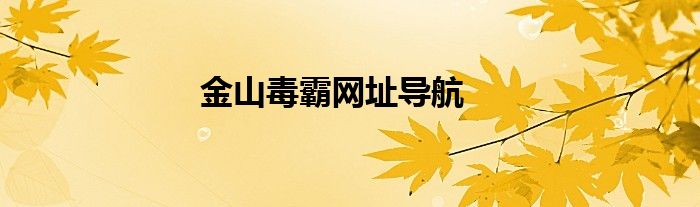 金山毒霸網(wǎng)址導(dǎo)航