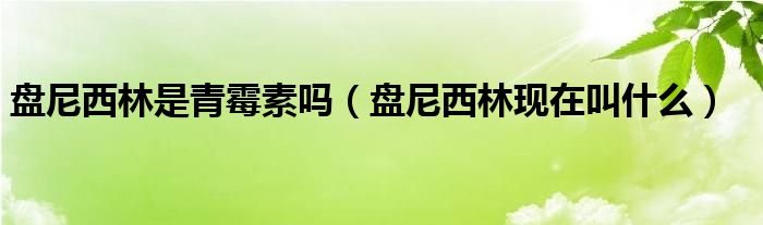 盤(pán)尼西林是青霉素嗎（盤(pán)尼西林現(xiàn)在叫什么）