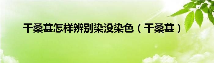 干桑葚怎樣辨別染沒(méi)染色（干桑葚）