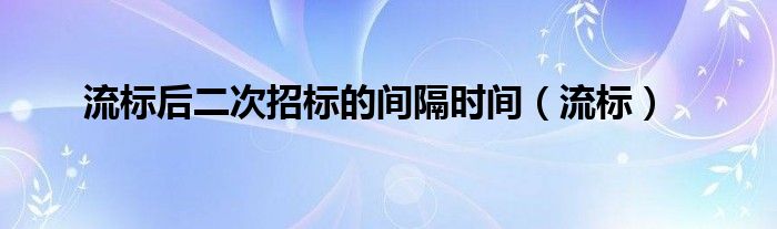 流標(biāo)后二次招標(biāo)的間隔時(shí)間（流標(biāo)）