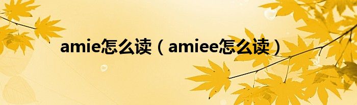 amie怎么讀（amiee怎么讀）
