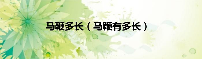 馬鞭多長（馬鞭有多長）