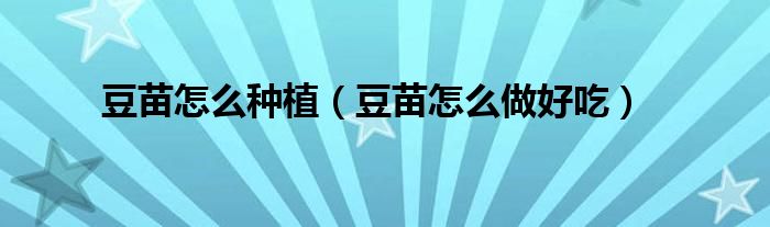 豆苗怎么種植（豆苗怎么做好吃）