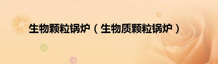 生物顆粒鍋爐（生物質(zhì)顆粒鍋爐）