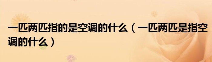 一匹兩匹指的是空調的什么（一匹兩匹是指空調的什么）