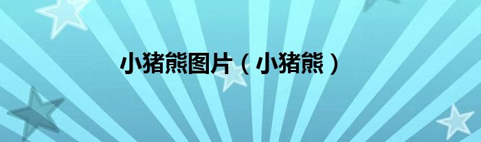 小豬熊圖片（小豬熊）