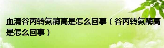 血清谷丙轉(zhuǎn)氨酶高是怎么回事（谷丙轉(zhuǎn)氨酶高是怎么回事）