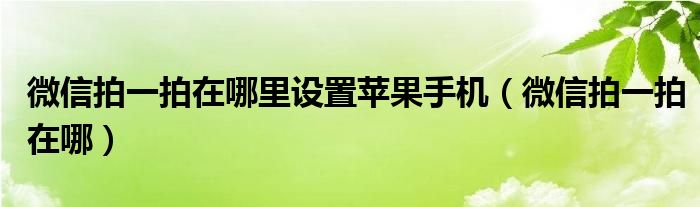微信拍一拍在哪里設(shè)置蘋果手機（微信拍一拍在哪）