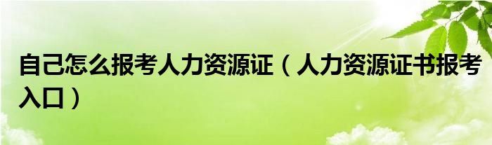 自己怎么報考人力資源證（人力資源證書報考入口）