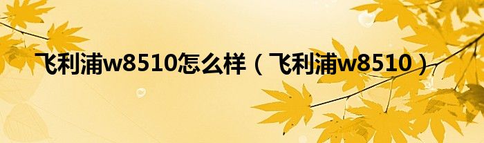 飛利浦w8510怎么樣（飛利浦w8510）