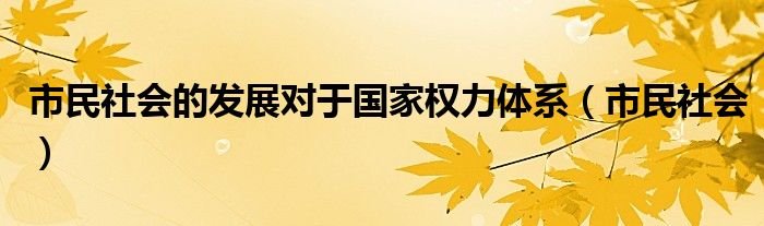 市民社會的發(fā)展對于國家權(quán)力體系（市民社會）