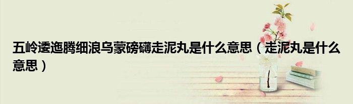 五嶺逶迤騰細(xì)浪烏蒙磅礴走泥丸是什么意思（走泥丸是什么意思）