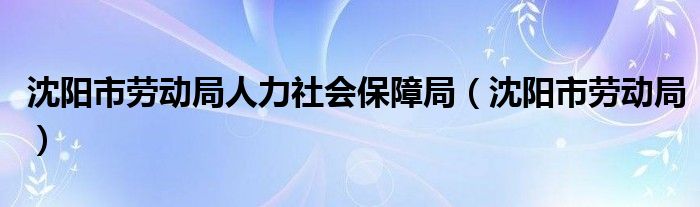 沈陽市勞動局人力社會保障局（沈陽市勞動局）